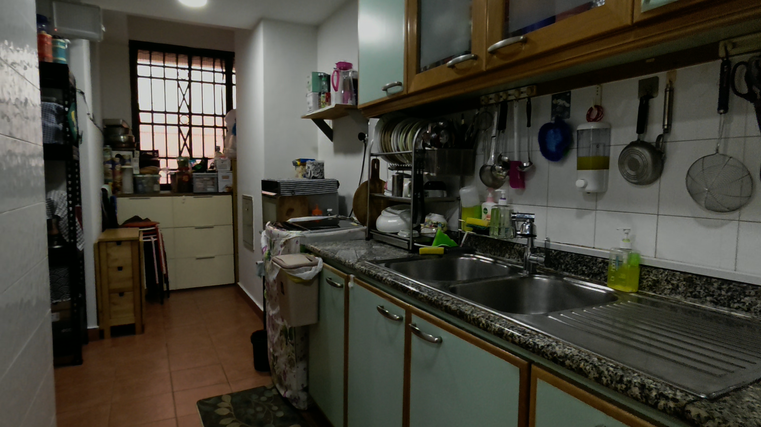 SELETARIS photo 3
