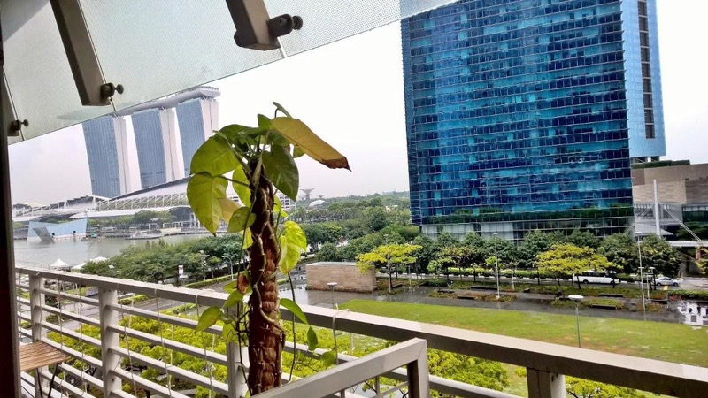 The Sail @ Marina Bay photo 2
