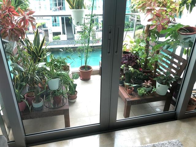 Caribbean at keppel bay photo 3