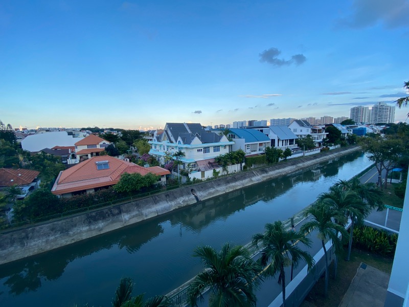 Gold Palm Mansions photo 4