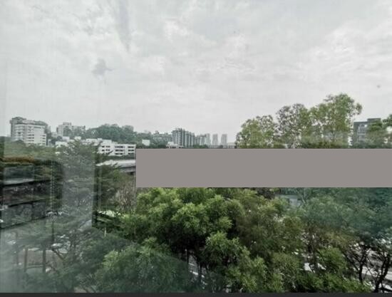 Holland Road photo 6