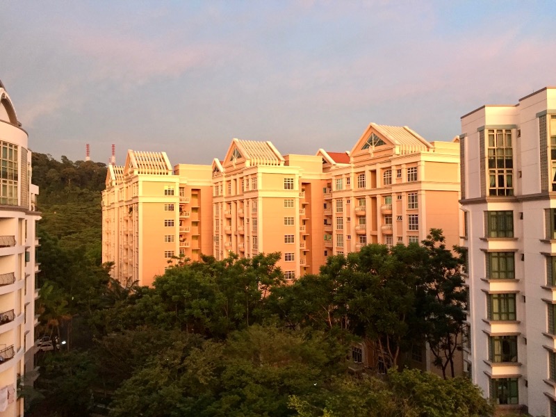 Parc Palais photo 2