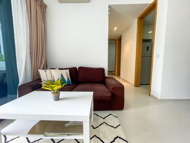 Bartley Ridge photo 4