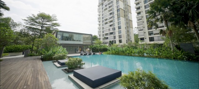 The Skywoods photo 4
