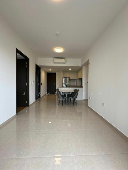The Gazania photo 2