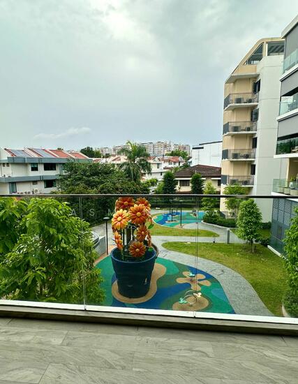 The Gazania photo 3