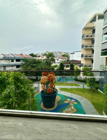 The Gazania photo 3