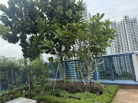 Wilshire Residences photo 4
