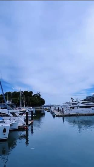 Caribbean at Keppel Bay photo 2