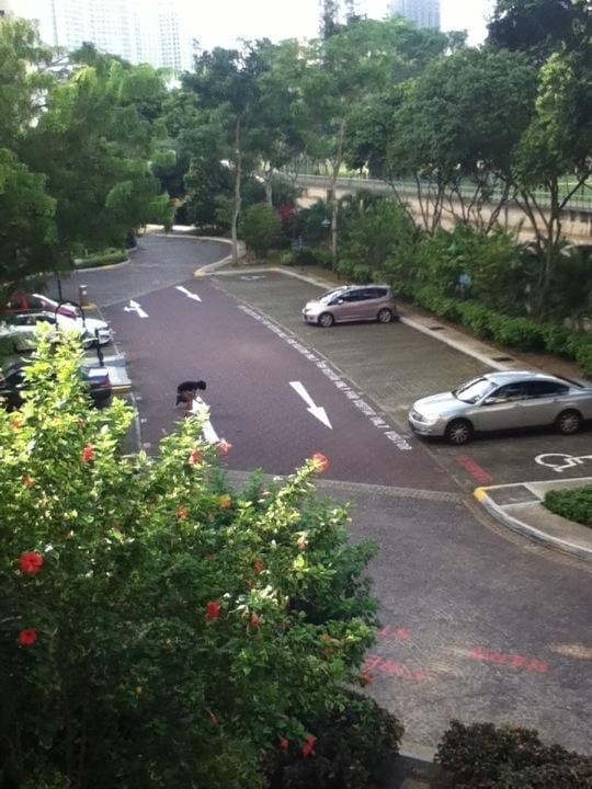 Valley Park photo 6