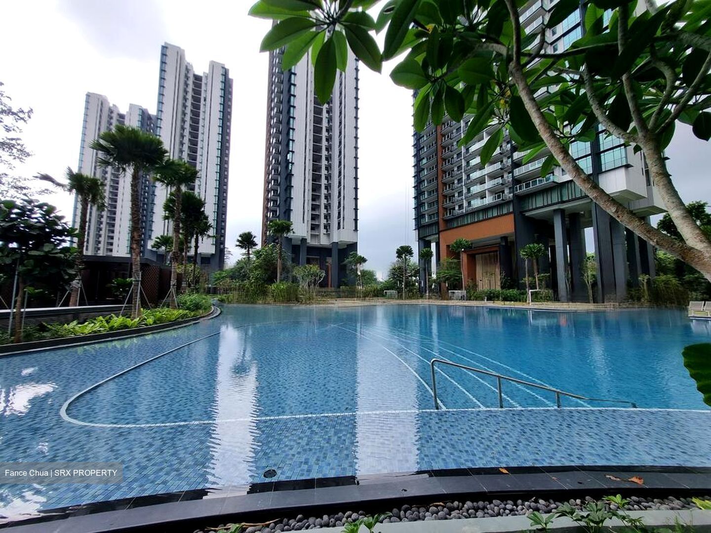 Normanton Park (D5), Apartment - For Rent photo 2