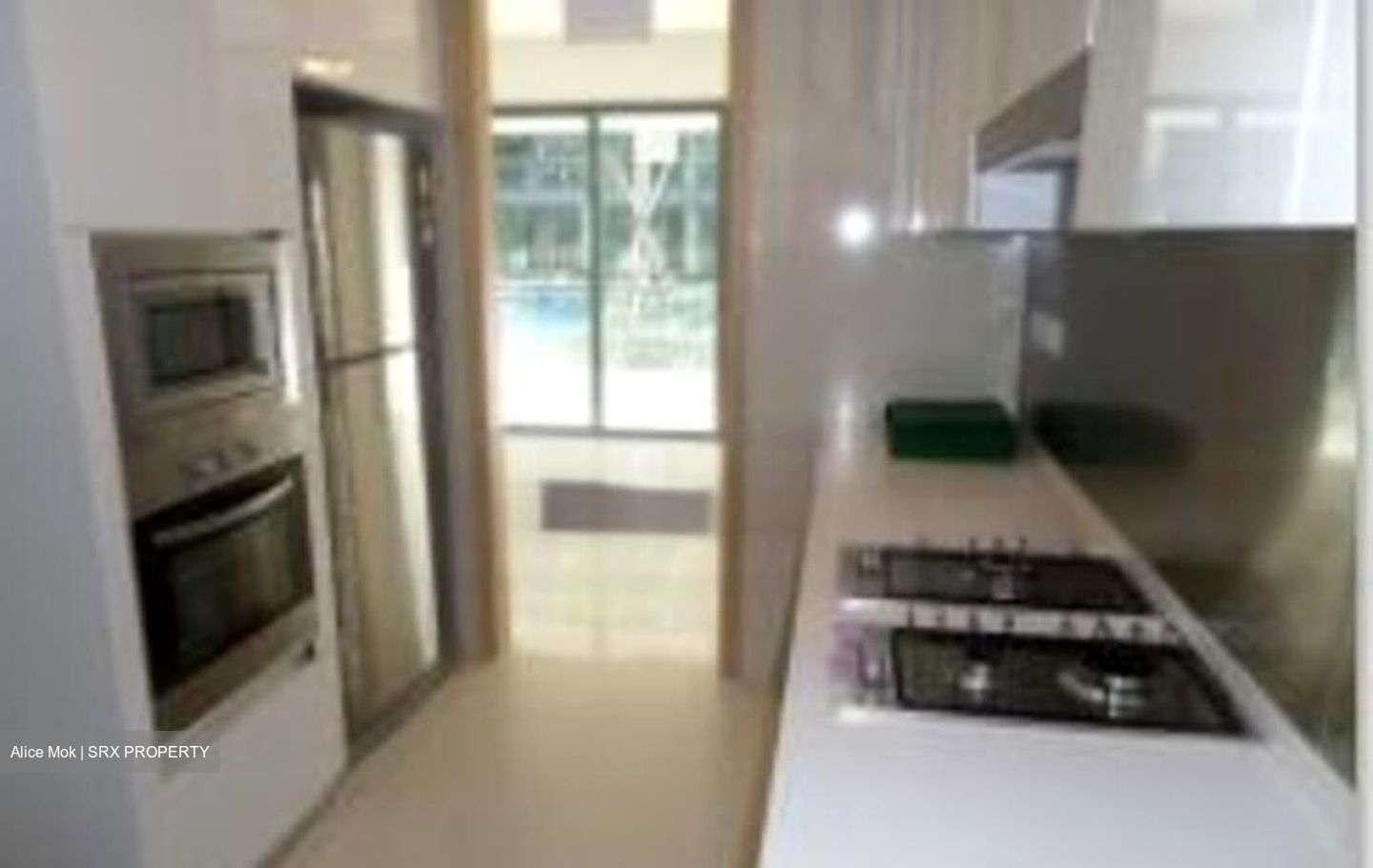 Hedges Park Condominium (D17), Condominium - For Sale photo 4