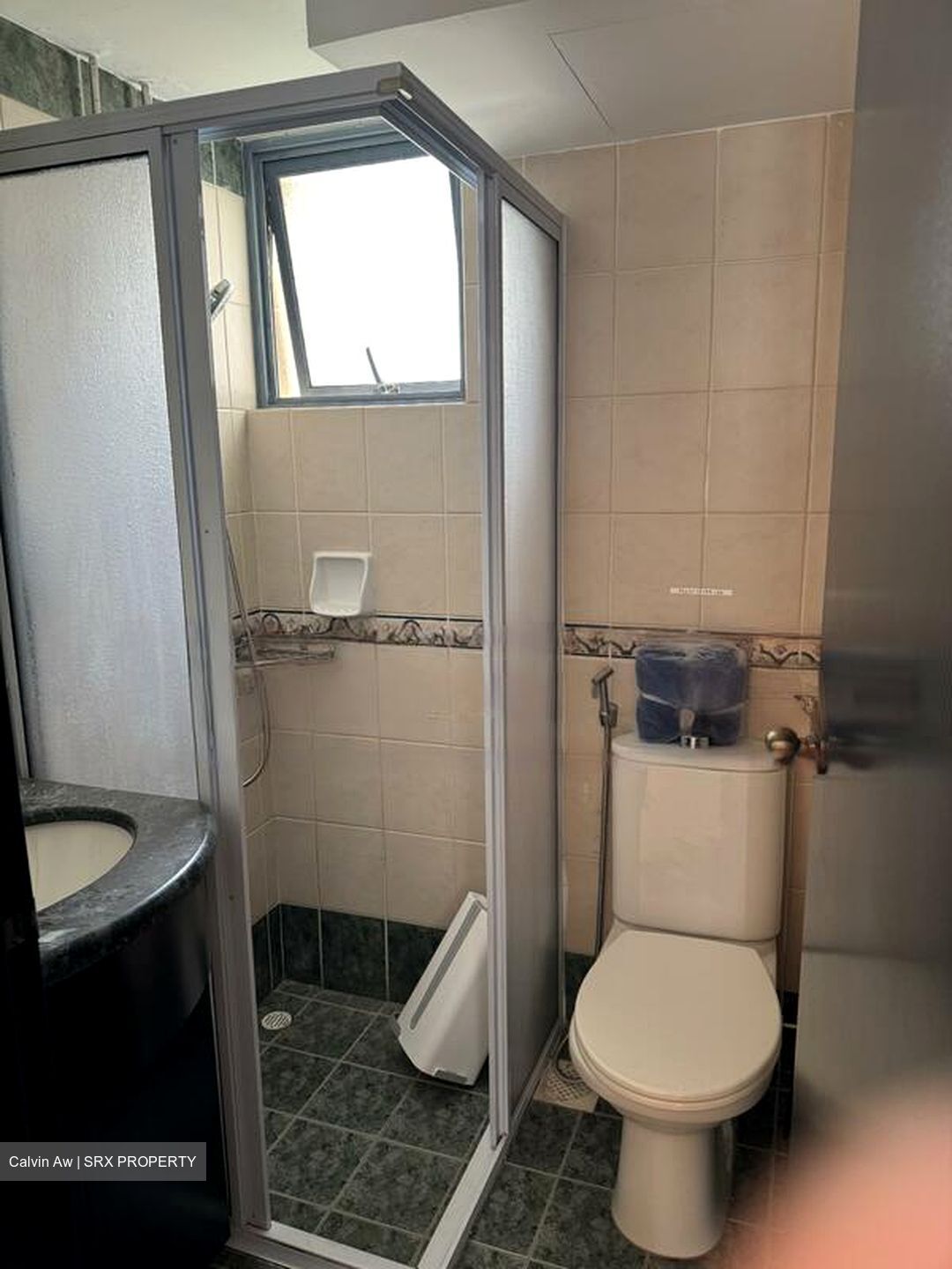Aquarius By The Park (D16), Condominium - For Rent photo 2