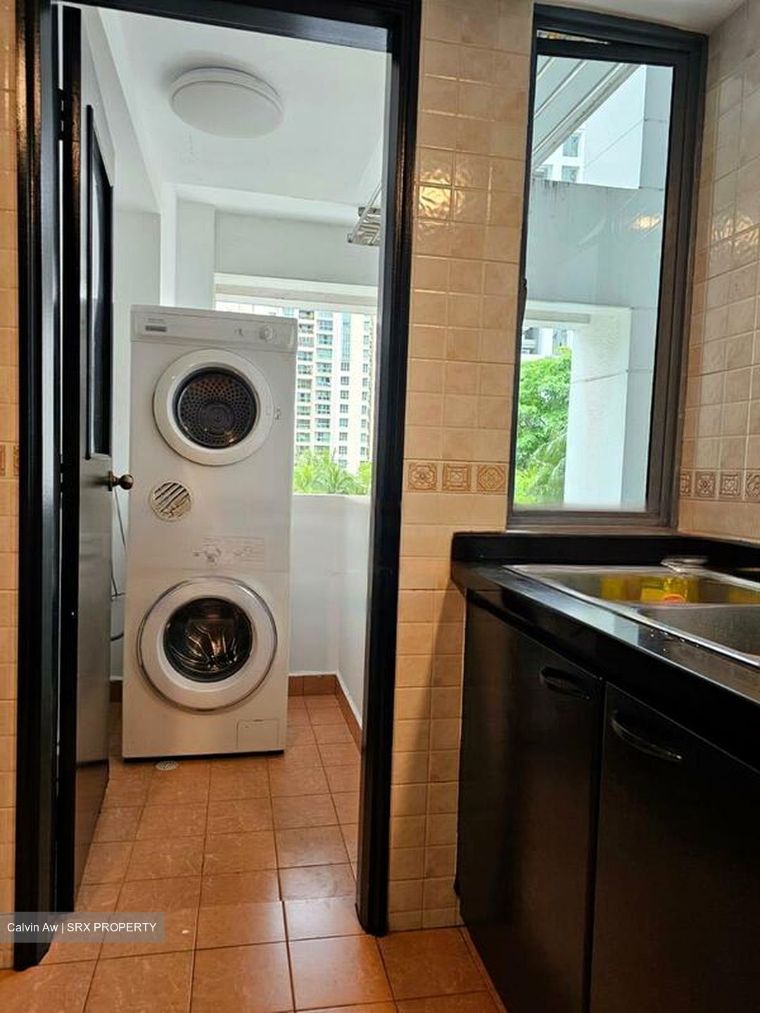 Aquarius By The Park (D16), Condominium - For Rent photo 3