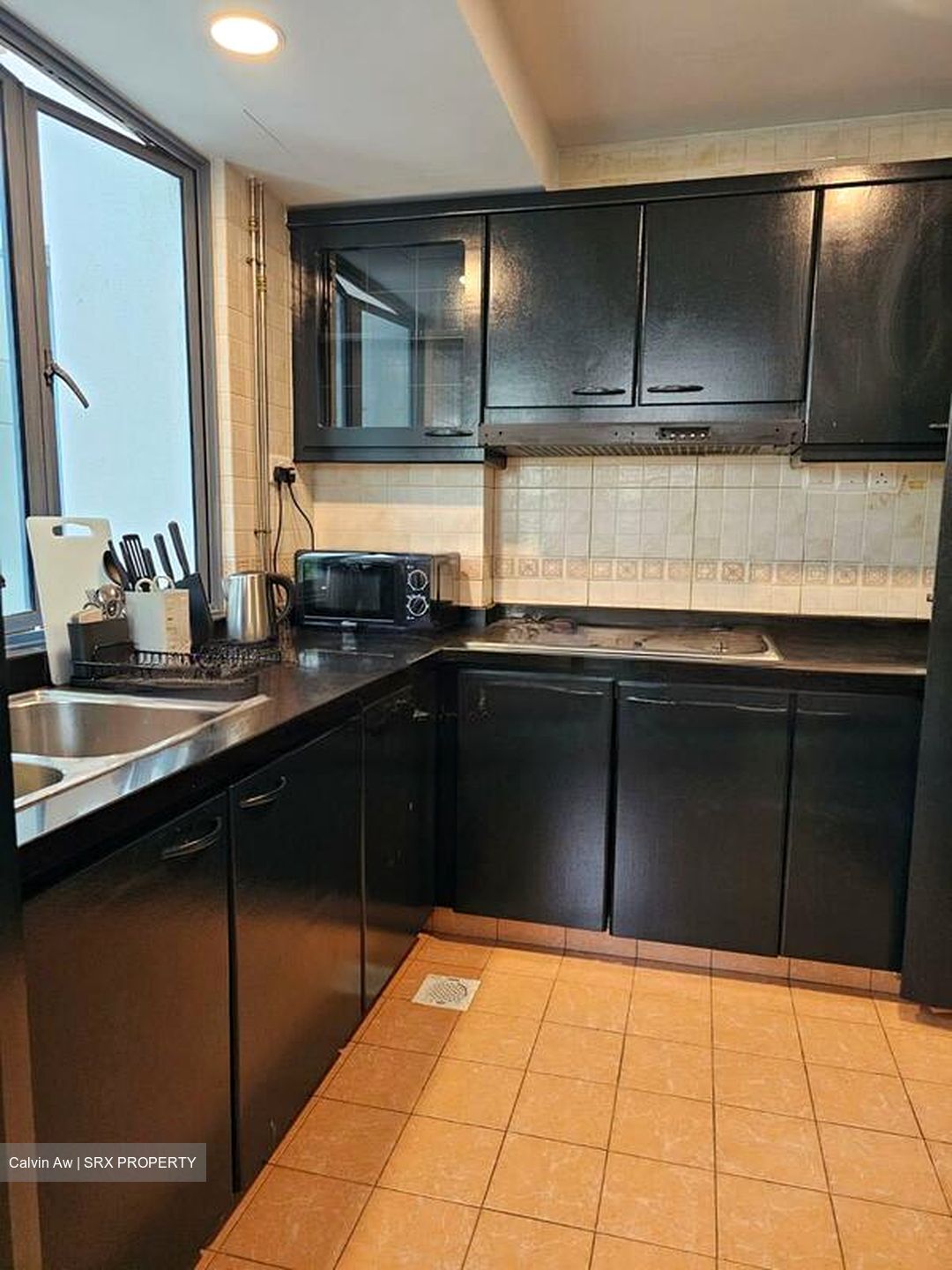 Aquarius By The Park (D16), Condominium - For Rent photo 4