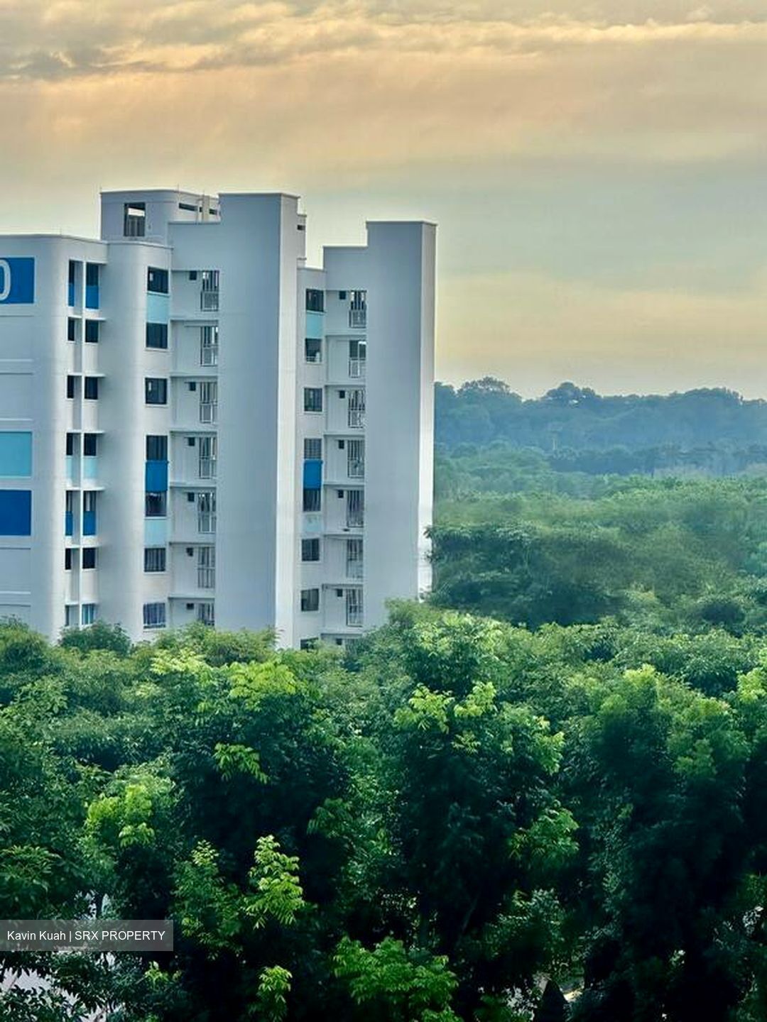 Blk 306 Hougang Avenue 5 (Hougang), HDB 5 Rooms - For Sale photo 4