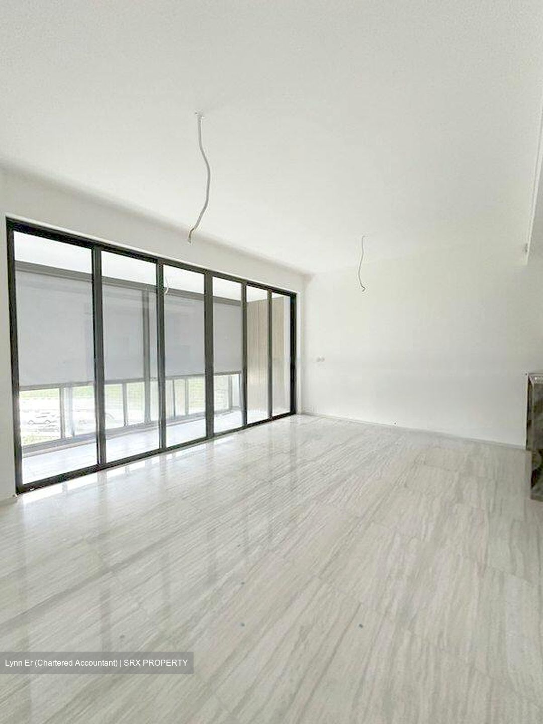 Leedon Green (D10), Condominium - For Sale photo 6