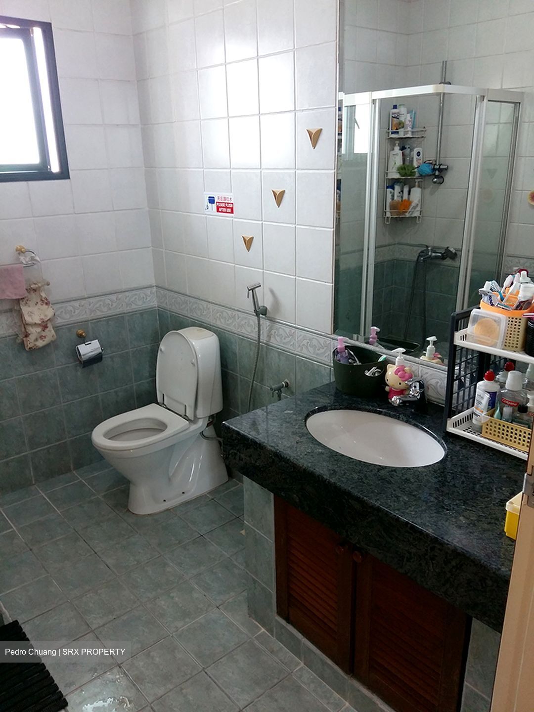 Sturdee View (D8), Apartment - For Rent photo 4