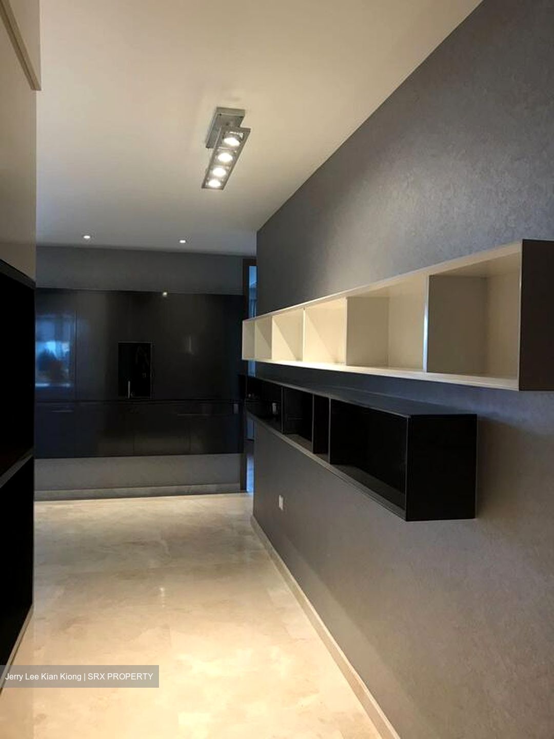 V On Shenton (D1), Apartment - For Rent photo 6