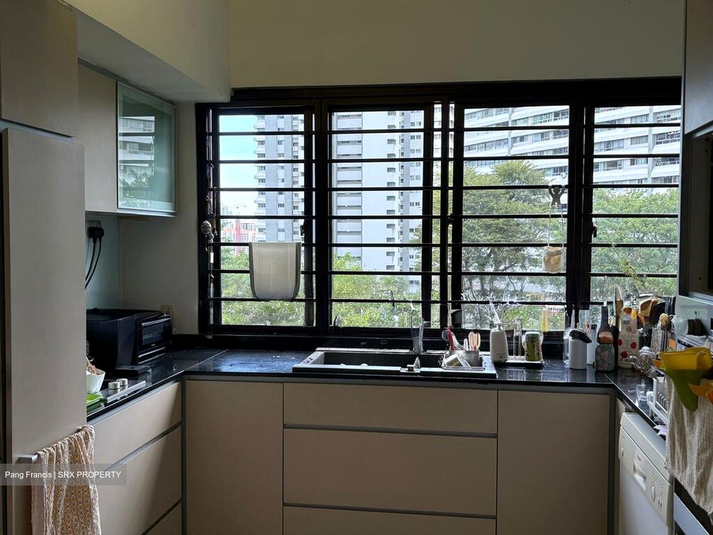 Pandan Valley (D21), Condominium - For Sale photo 4