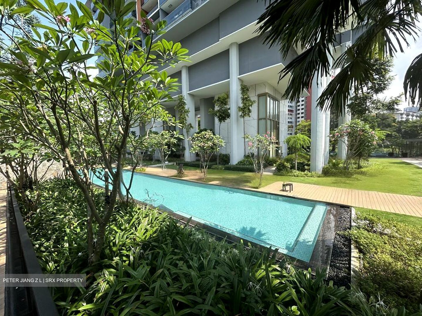 Stirling Residences (D3), Apartment - For Rent photo 2