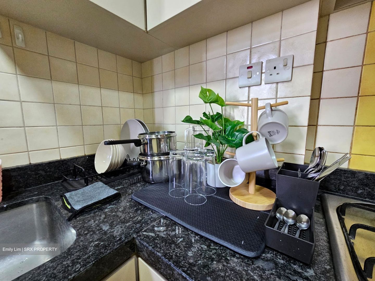Compass Heights (D19), Apartment - For Rent photo 2