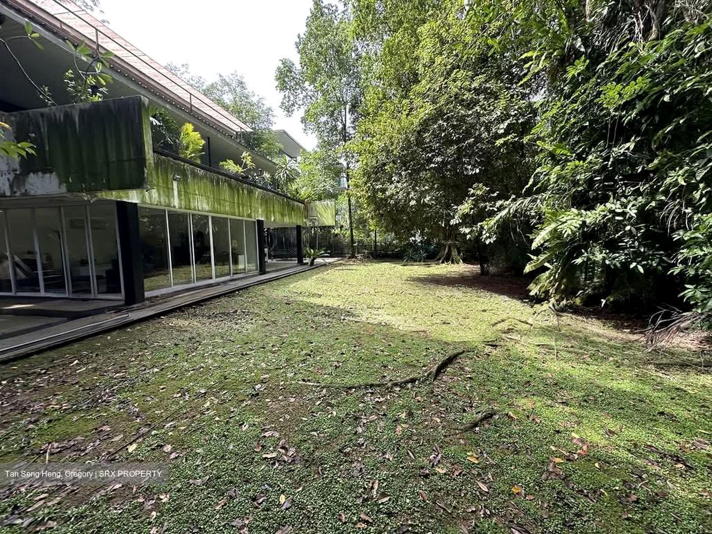 White House Park (D10), Detached - For Sale photo 3