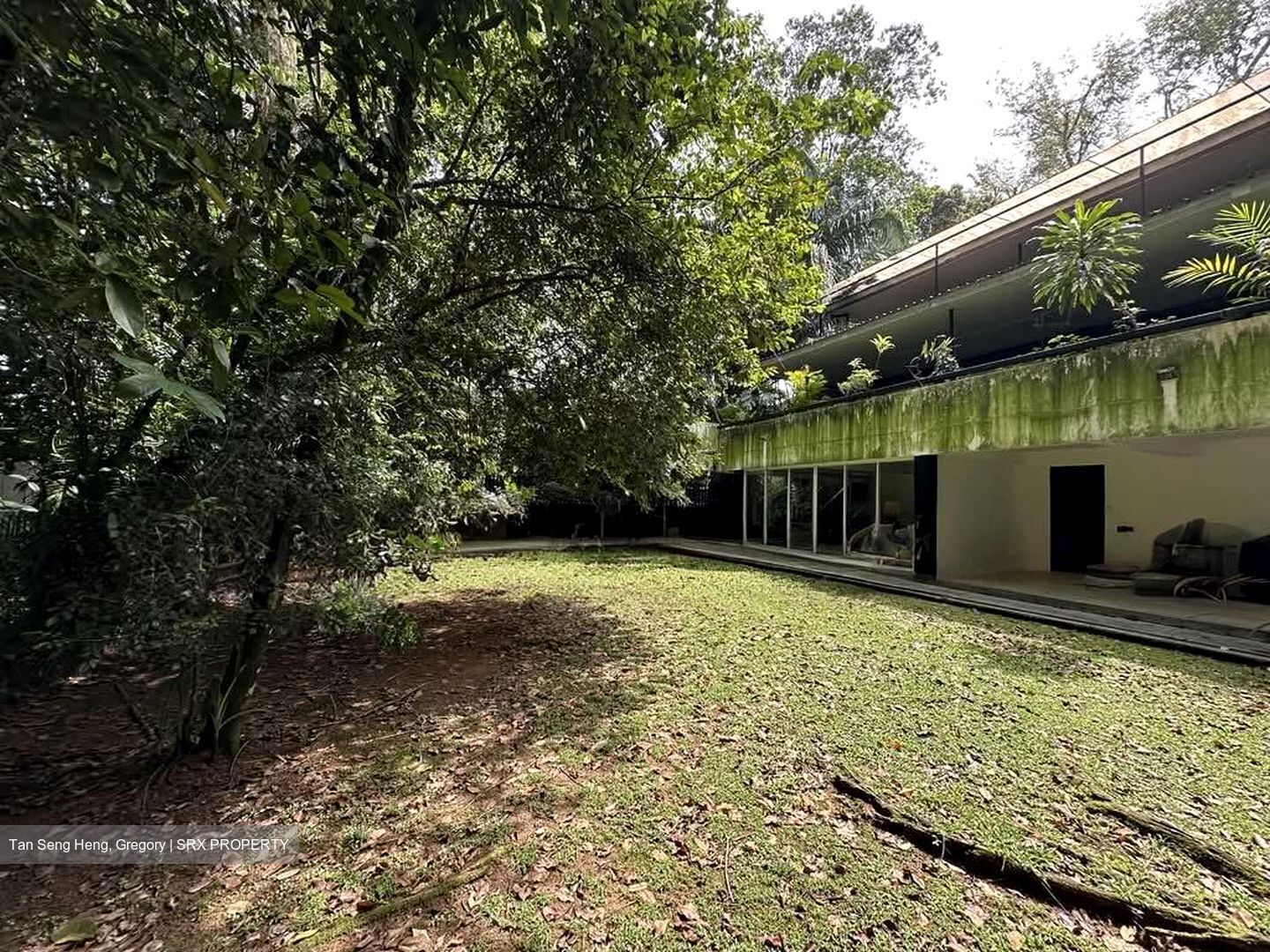 White House Park (D10), Detached - For Sale photo 4