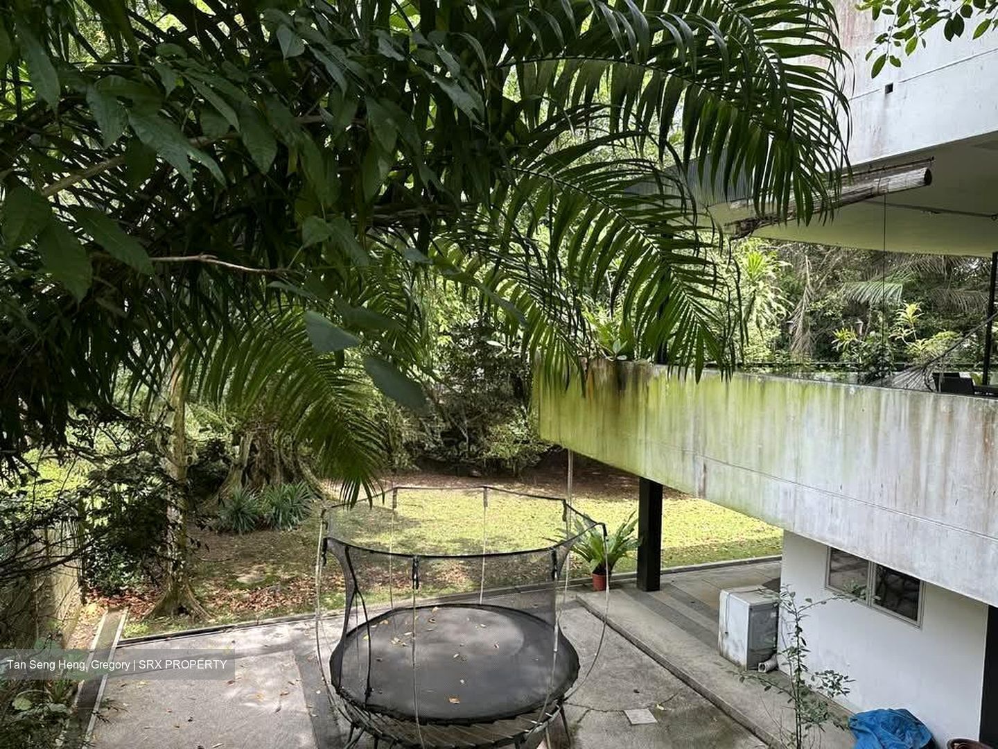 White House Park (D10), Detached - For Sale photo 6