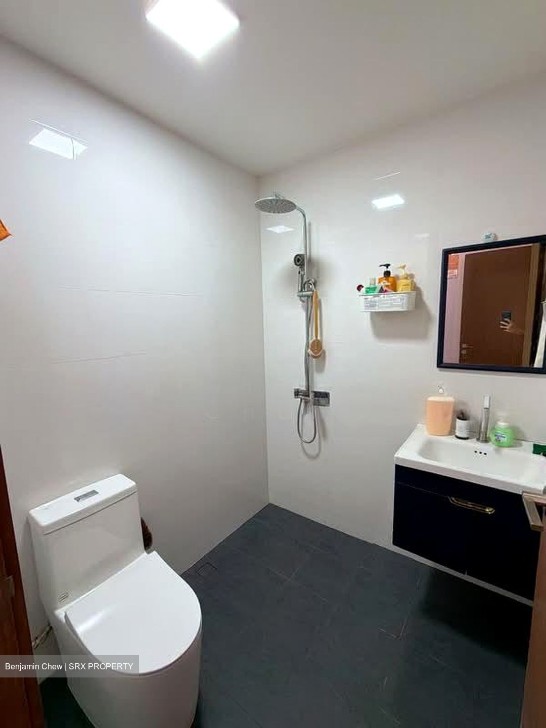 The MKZ (D9), Apartment - For Sale photo 2