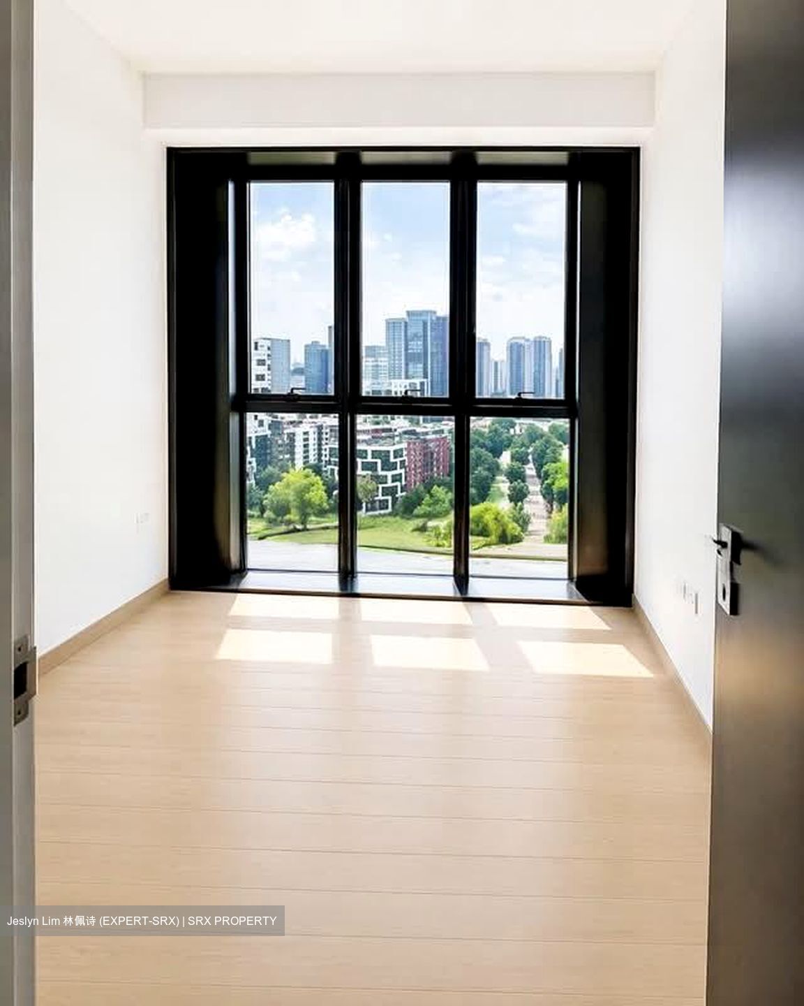Irwell Hill Residences (D9), Apartment - For Sale photo 2