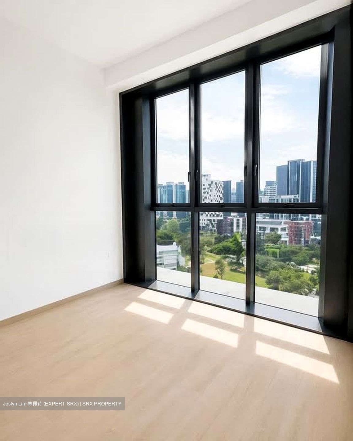 Irwell Hill Residences (D9), Apartment - For Sale photo 3
