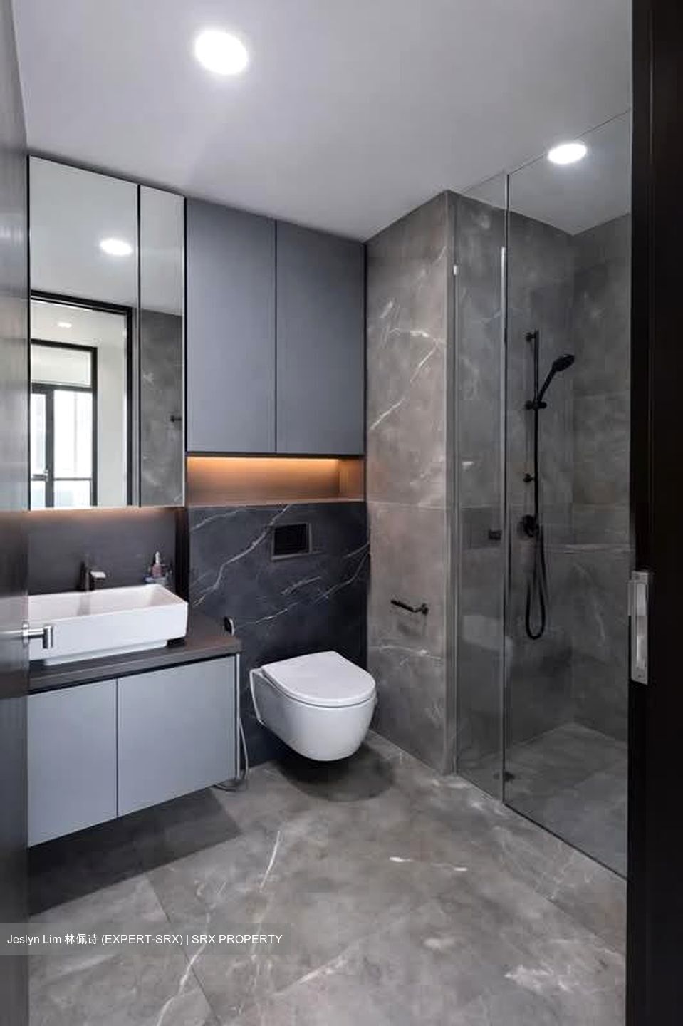 Irwell Hill Residences (D9), Apartment - For Sale photo 4