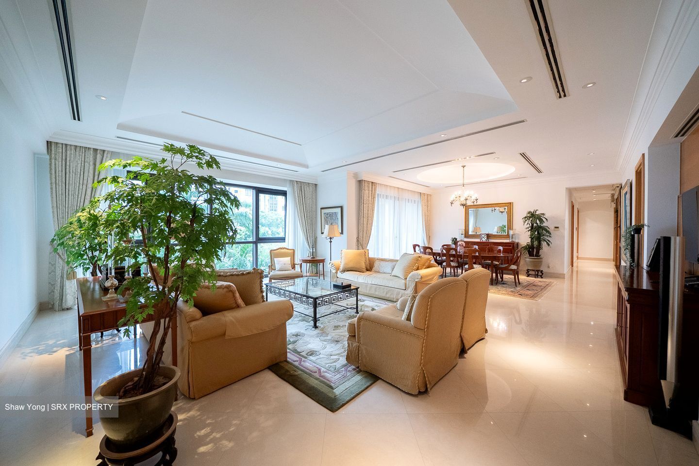 Ardmore Park (D10), Condominium - For Sale photo 2