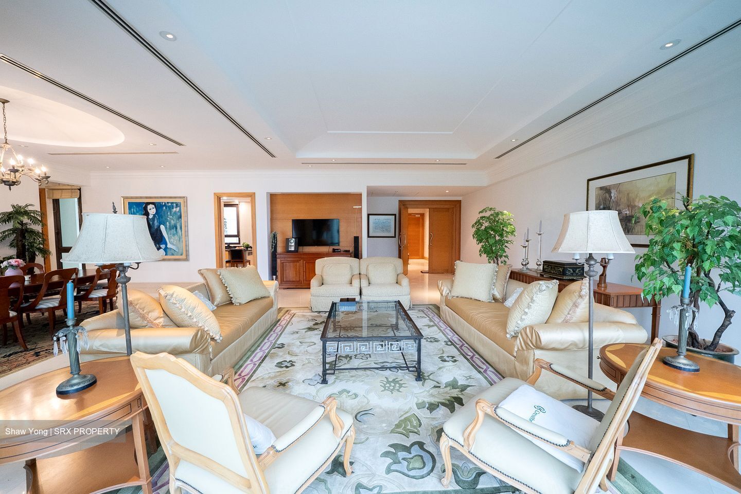 Ardmore Park (D10), Condominium - For Sale photo 6