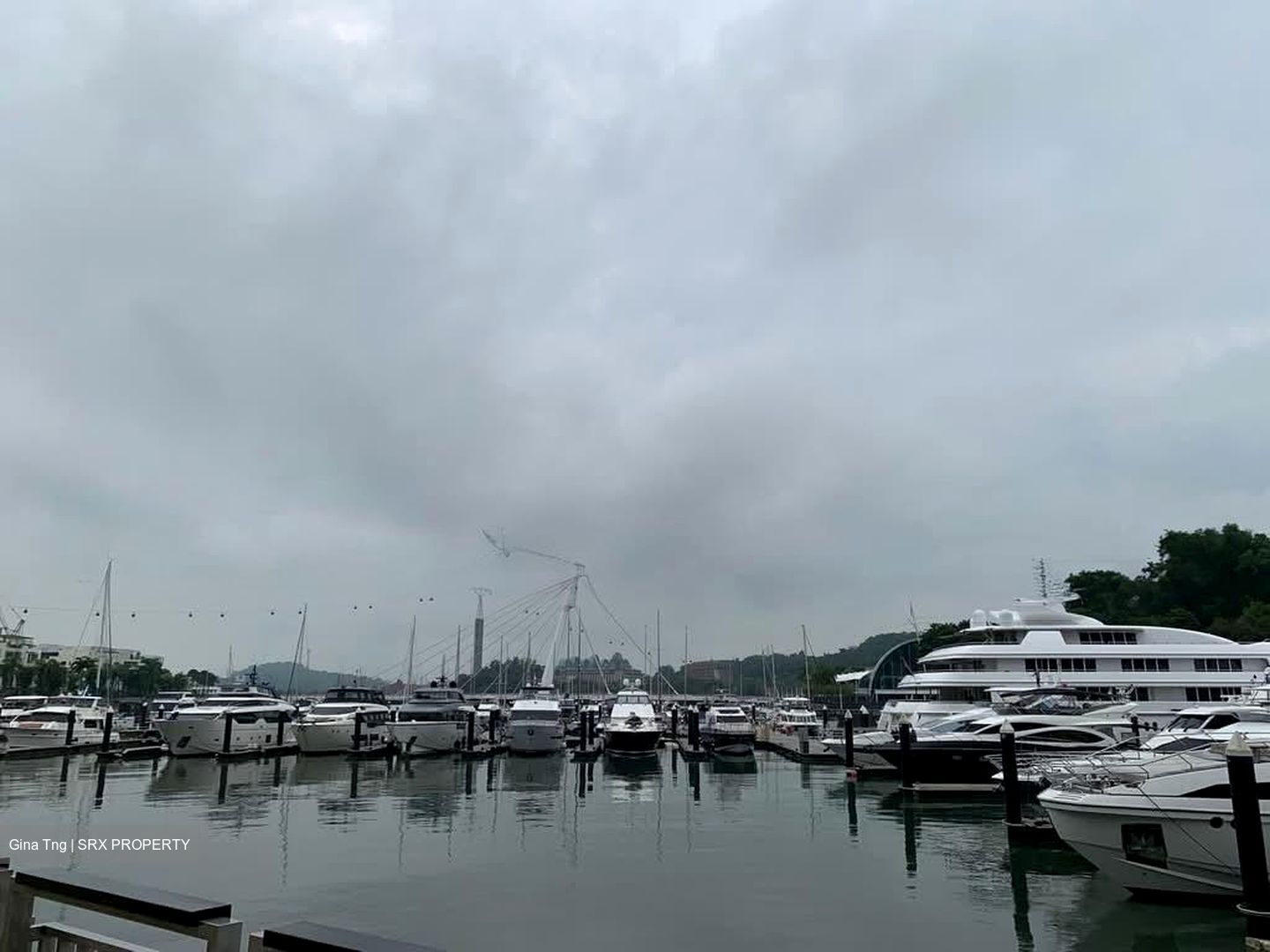 Reflections At Keppel Bay (D4), Condominium - For Sale photo 2