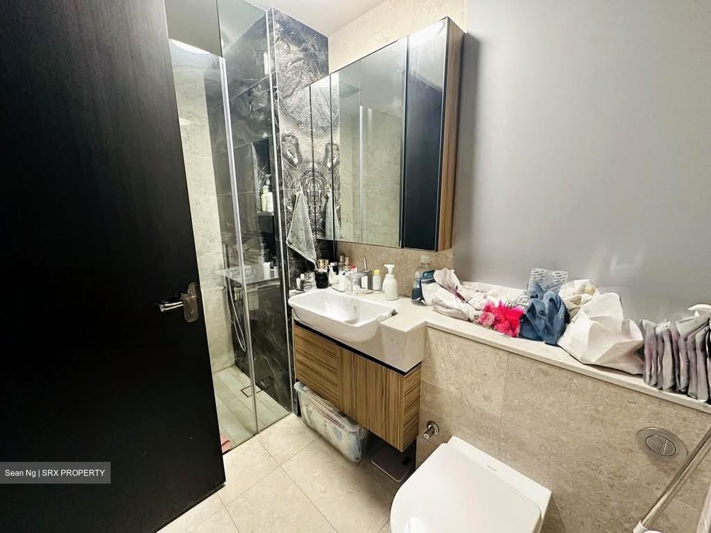 Pullman Residence (D11), Condominium - For Sale photo 3