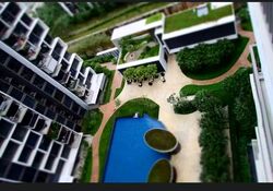Blossom Residences (D23), Condominium - For Rent photo 5