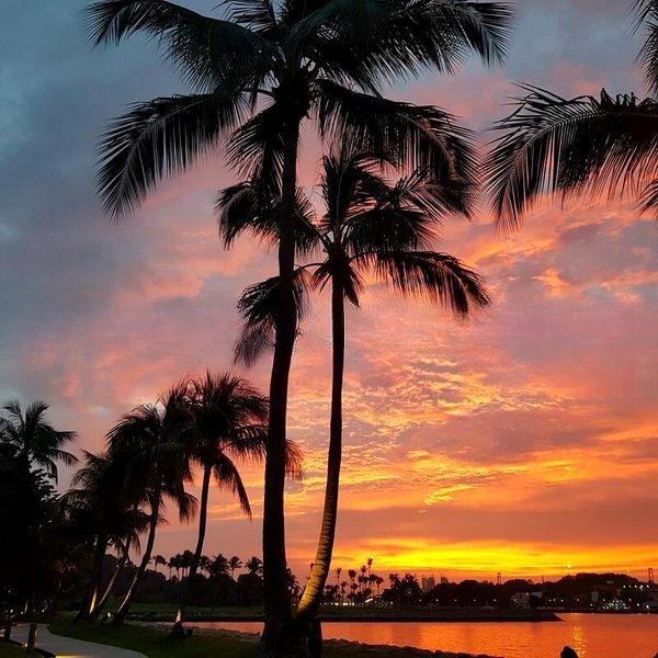 THE COAST AT SENTOSA COVE 3