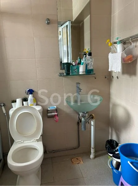 WELLINGTON CIRCLE 13