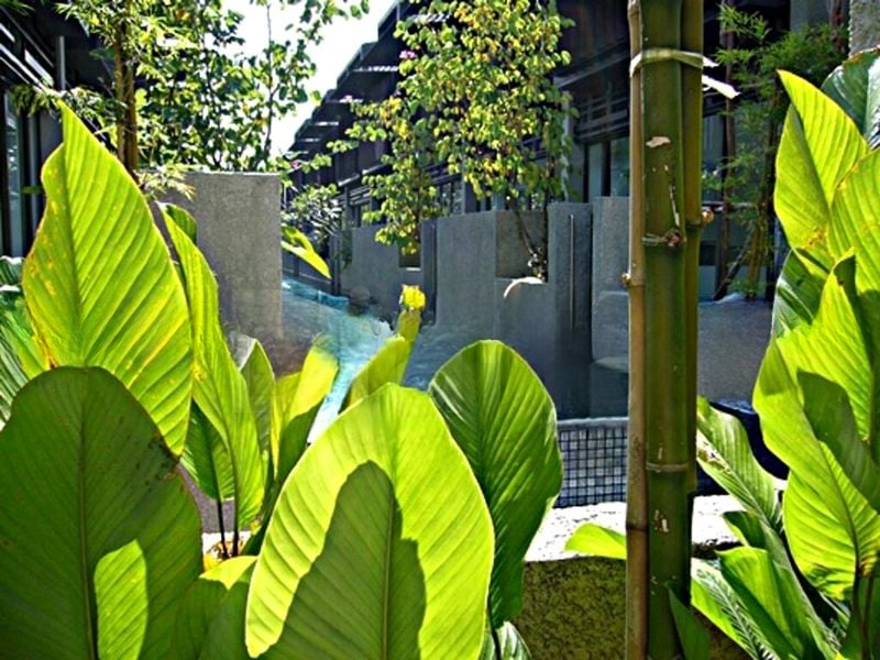 WATTEN RESIDENCES 5
