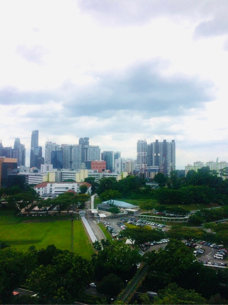 THE REGENCY AT TIONG BAHRU 2