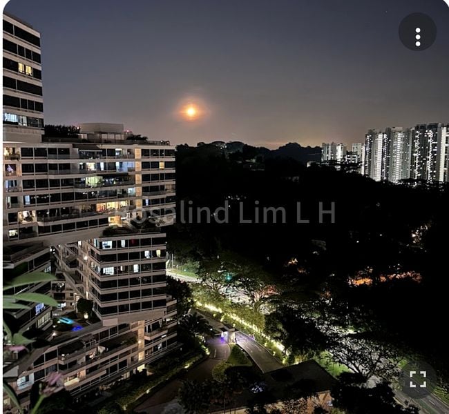 THE INTERLACE 12