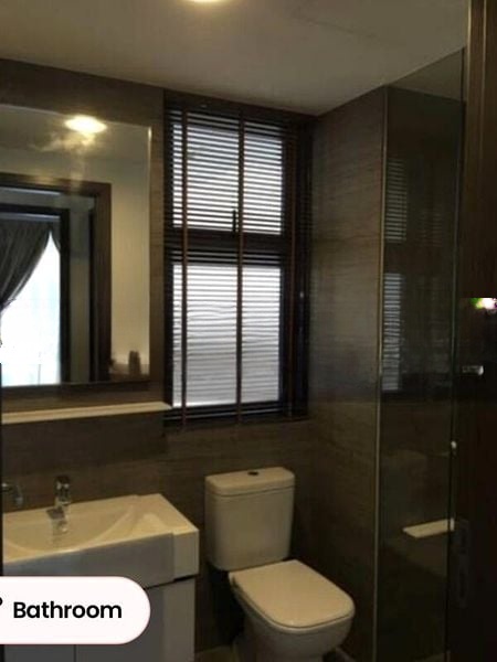 THE CLEMENT CANOPY 2