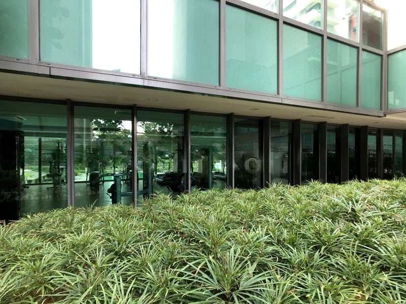 THE TOPIARY 12