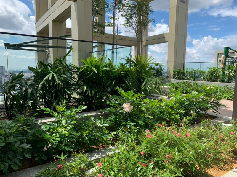 IRWELL HILL RESIDENCES 14