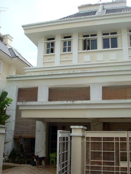 HOLLAND GROVE 9