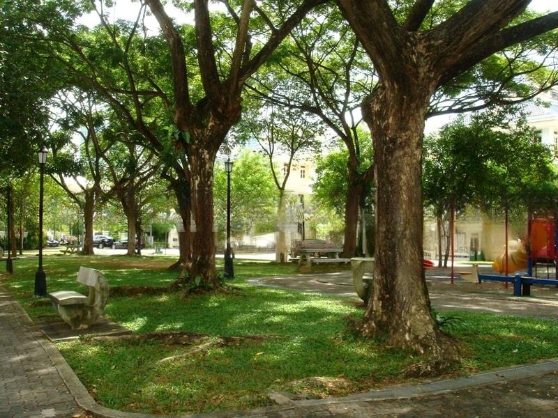HOLLAND GROVE 5