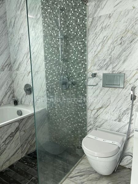 FIFTY-TWO STEVENS 10