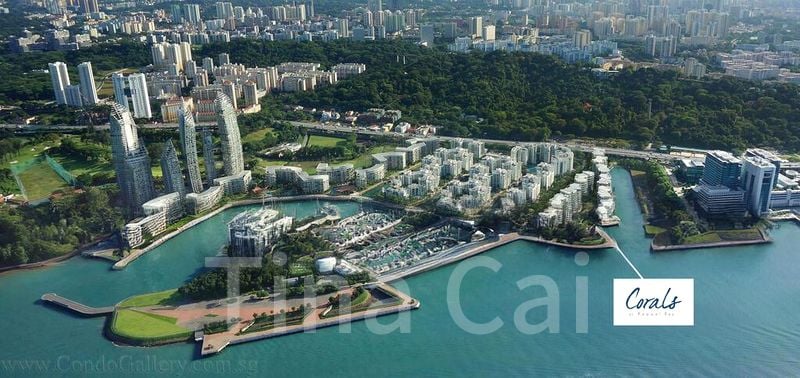 CORALS AT KEPPEL BAY 3